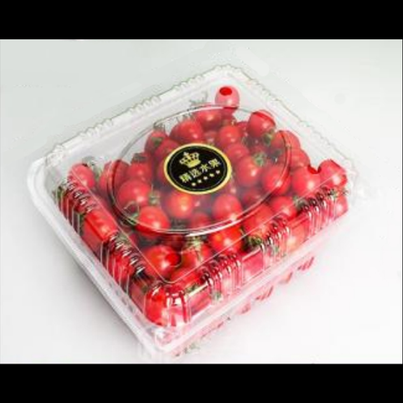 Фруктовая коробка с крышкой 200*170*95 мм hgf-750h